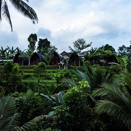 Omah Bapak Ijen Eco House 호텔 Licin 외부 사진