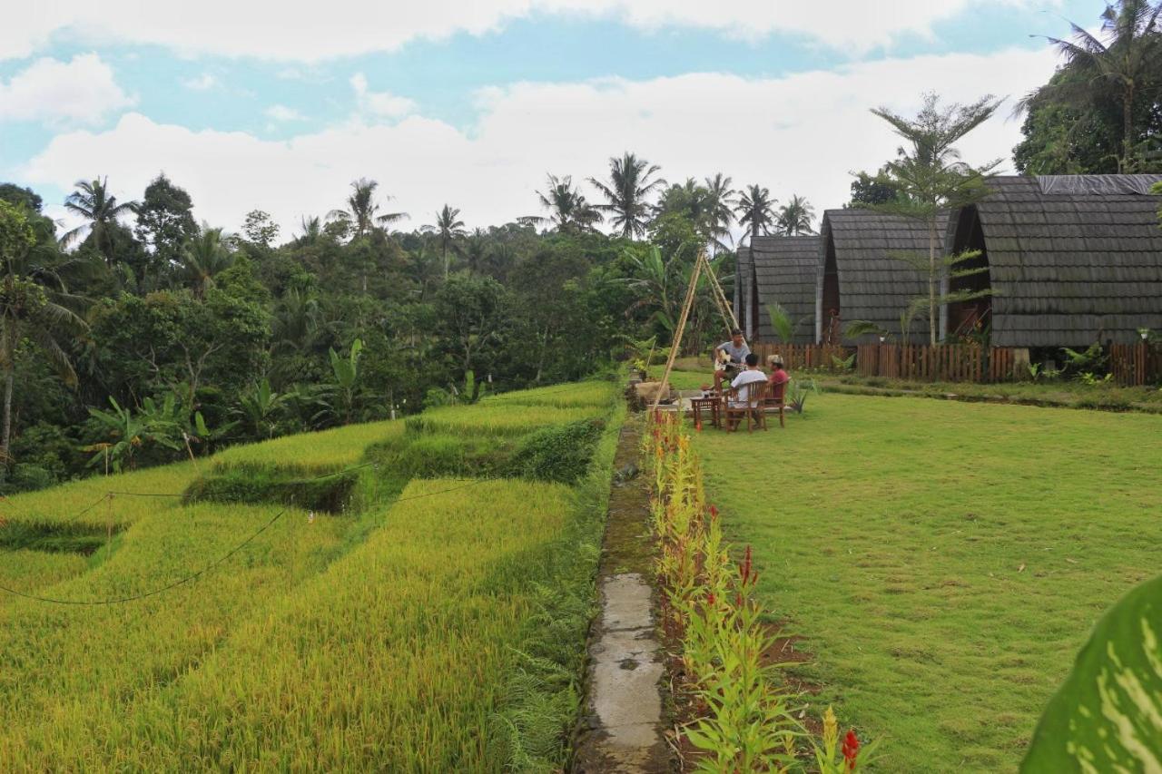 Omah Bapak Ijen Eco House 호텔 Licin 외부 사진