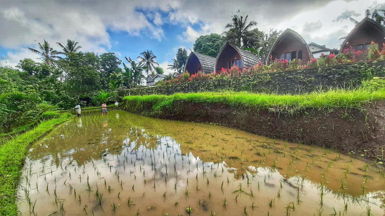 Omah Bapak Ijen Eco House 호텔 Licin 외부 사진