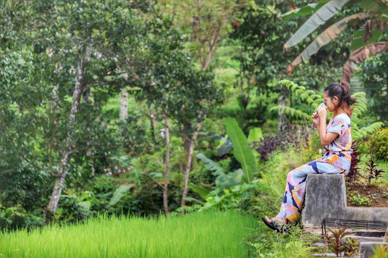 Omah Bapak Ijen Eco House 호텔 Licin 외부 사진