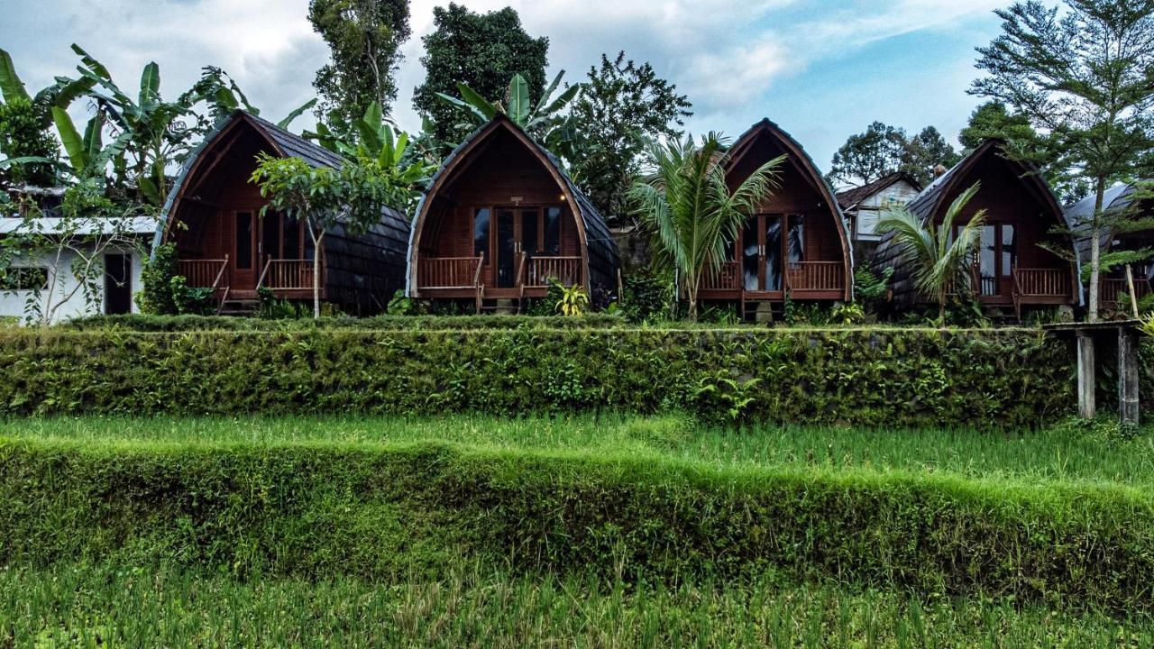 Omah Bapak Ijen Eco House 호텔 Licin 외부 사진